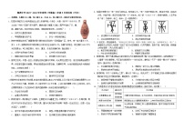 广东省梅州市梅雁中学2023-2024学年高二下学期5月月考历史试题