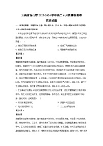 [历史]云南省保山市2023-2024学年高二下学期6月质量检测卷试题（解析版）