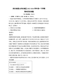 [历史]四川省眉山市东坡区2023-2024学年高一下学期期末试题（解析版）