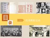 挽救民族危亡的斗争课件13