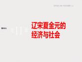 辽宋夏金元的经济、社会与文化课件6
