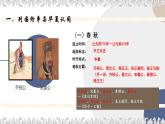 人教高中历史必修中外历史纲要上第2课诸侯纷争与变法运动课件11