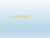 第21课 世界殖民体系的瓦解与新兴国家的发展课件7