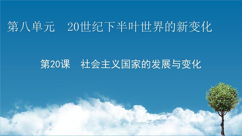 第20课 社会主义国家的发展与变化课件11第1页