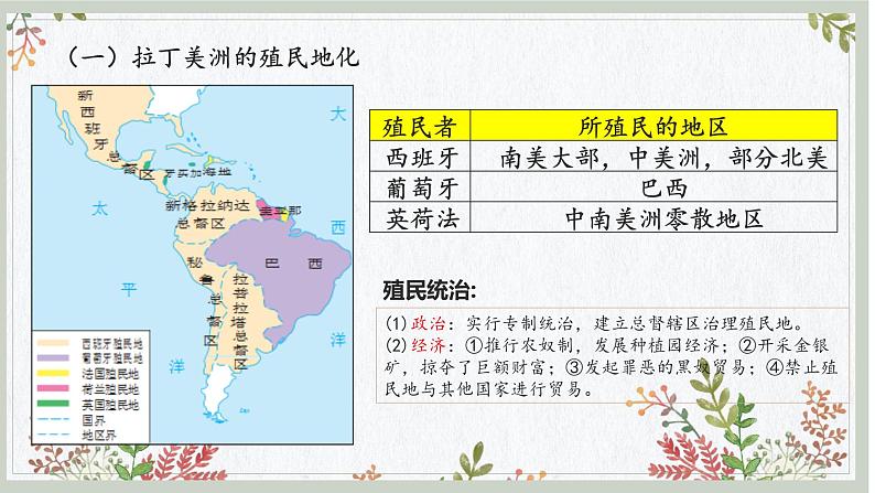 第13课 亚非拉民族独立运动课件5第6页