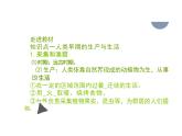 第1课从食物采集到食物生产课件--高中历史选择性必修2(1【精】)