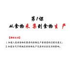 高中历史选择性必修2：第1课 从食物采集到食物生产-教学课件