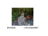 全球航路的开辟课件统编版高中历史必修中外历史纲要下册