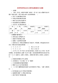 人教统编版(必修)中外历史纲要(上)第28课 改革开放以来的巨大成就课时作业