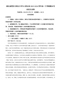 湖北省武汉市重点中学5G联合体2023-2024学年高一下学期期末历史试卷（Word版附解析）