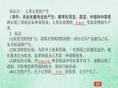 2025版高考历史全程一轮复习版块三世界史第一部分世界史纲要 课题32古代文明的产生与发展课件