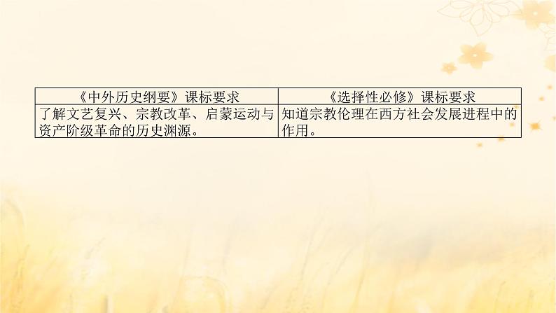 创新版2025版高考历史全程一轮复习 第28讲欧洲的思想解放运动课件第2页