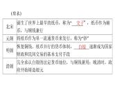 第15课 货币的使用与世界货币体系的形成 课件--2025届广东省高考统编版历史选择性必修1一轮复习
