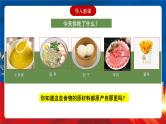 【新课标】1《从食物采集到食物生产》课件+教案+导学案+分层作业