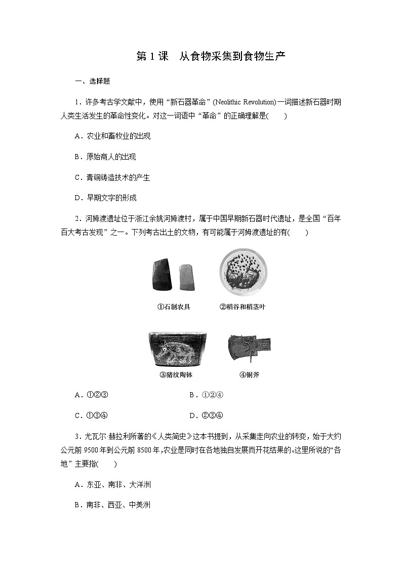 第1课　从食物采集到食物生产同步练习（含答案）  2024-2025学年高二历史部编版（2019）选择性必修第二册01