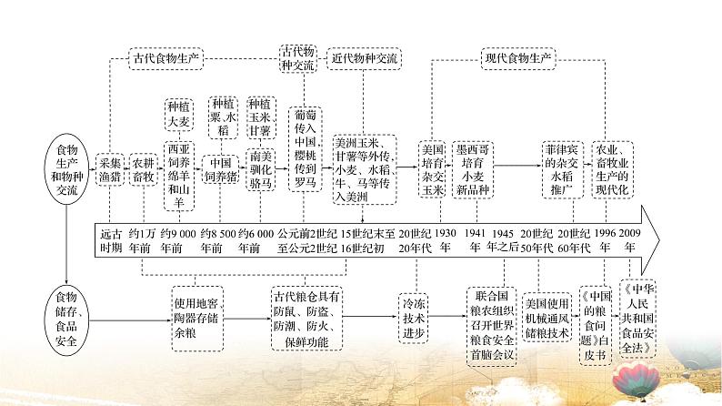 统编版高中历史选择性必修2《经济与社会生活》第一单元 单元提升复习课件第4页