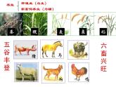 人民版高中历史必修二 1.1古代中国的农业经济 课件