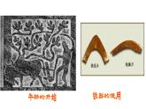 人民版高中历史必修第一册 专题一 大一统与秦朝中央集权制度的确立 课件