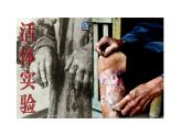 2024-2025学年中外历史纲要上 第22课 从局部抗战到全面抗战 课件
