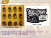 【同步课件】高中历史选必一第2课 西方国家古代和近代政治制度的演变课件
