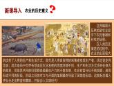 第1课 《从食物采集到食物生产》课件+教案+习题