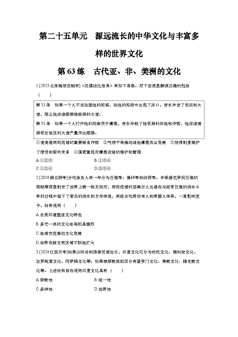 第63讲 古代亚、非、美洲的文化 2025届高考部编版历史一轮复习练习（含答案）01