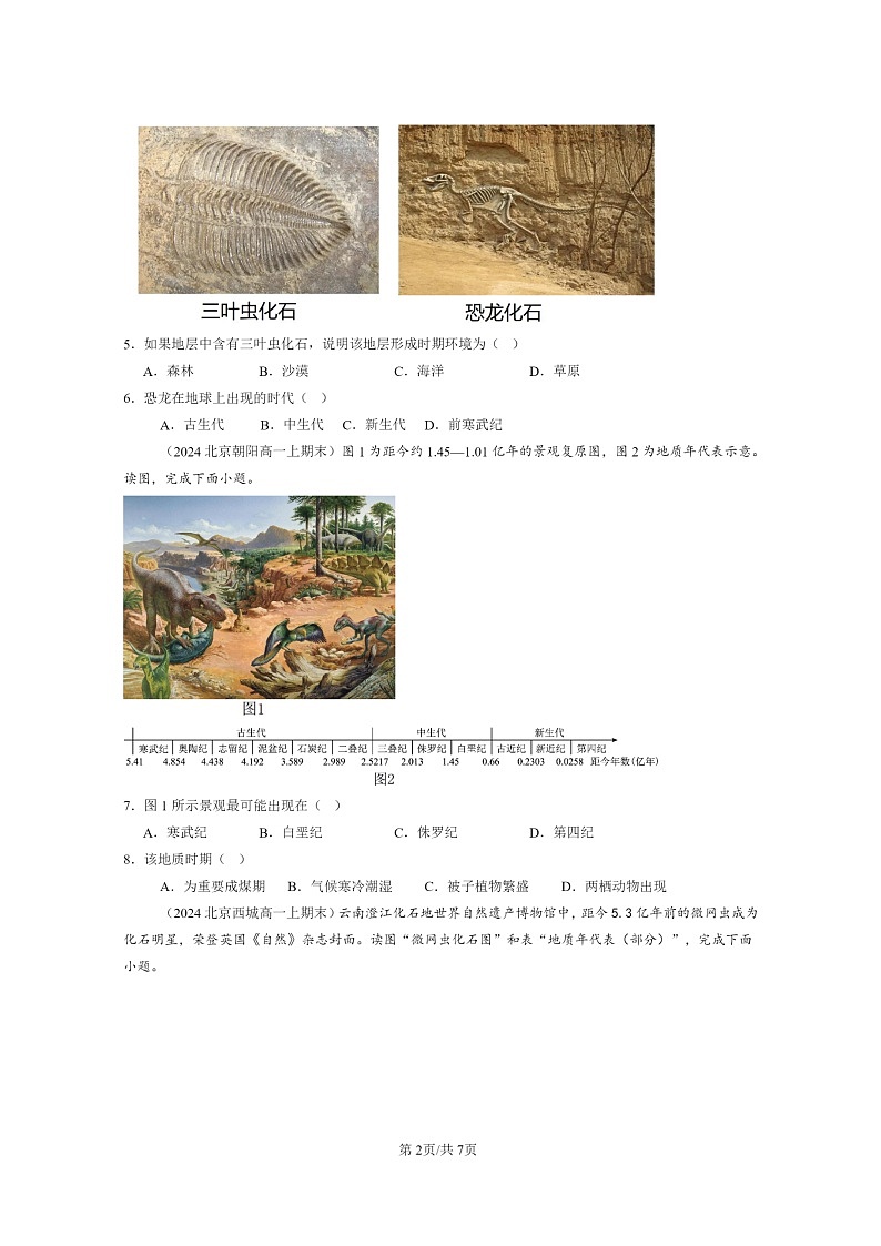 [地理][期末]2024北京高一上学期期末真题分类汇编：地球的历史第2页