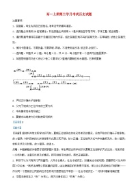 四川省宜宾市2023_2024学年高一历史上学期12月月考试题含解析