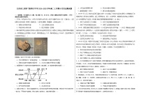 江西省上饶市弋阳县私立育才学校2024-2025学年高二上学期十月测试历史试题