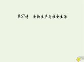 新高考高考历史一轮复习课件第20单元第57讲食物生产与社会生活（含解析）