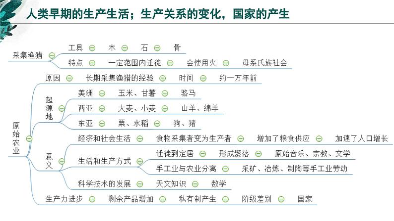 新高考历史一轮复习考点复习课件专题23  经济与社会生活（含解析）第7页