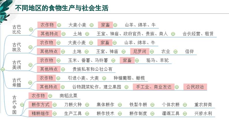 新高考历史一轮复习考点复习课件专题23  经济与社会生活（含解析）第8页