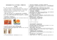 吉林省白城市实验高级中学2024-2025学年高二上学期期中考试历史试卷