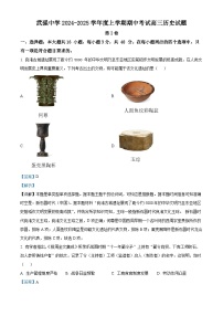 河北省衡水市武强中学2024-2025学年高三上学期期中考试历史试题（Word版附解析）