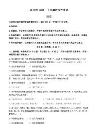 四川省遂宁市遂宁中学2024-2025学年高一上学期11月期中考试历史试卷（Word版附解析）