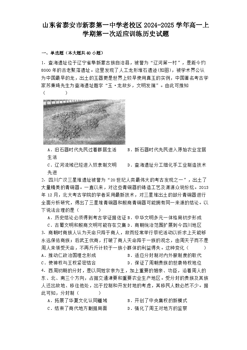 山东省泰安市新泰第一中学老校区2024-2025学年高一上学期第一次适应训练历史试题第1页