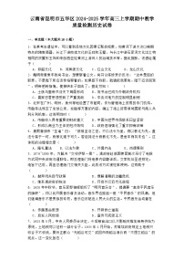 云南省昆明市五华区2024-2025学年高三上学期期中教学质量检测历史试卷(含解析)