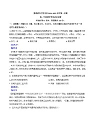 宁夏回族自治区吴忠市青铜峡市宁朔中学2024-2025学年高一上学期期中考试历史试题（解析版）