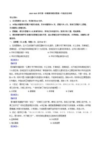 新疆维吾尔自治区喀什地区巴楚县2024-2025学年高一上学期期中历史试题（解析版）