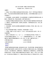 广东省阳江市高新区2024-2025学年高一上学期期中考试历史试题（解析版）