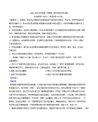 广东省阳江市高新区2024-2025学年高二上学期期中考试历史试题（解析版）