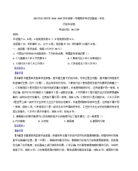 海南省海口市长流中学2024--2025学年高一上学期期中历史试题（解析版）