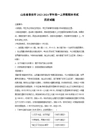 2023-2024学年山东省泰安市高一(上)期末考试历史试卷（解析版）