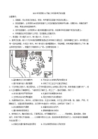 广西壮族自治区玉林市玉林市第一中学、容县高级中学联考2024-2025学年高二上学期11月期中历史试题(含解析)