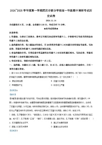 湖北省武汉市部分学校2024-2025学年高一上学期期中考试历史试卷（Word版附解析）