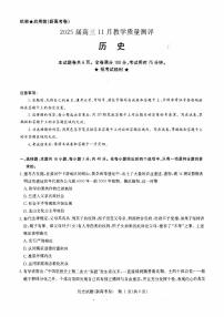 河南省华大联考2024-2025学年高三上学期11月期中考试历史试题