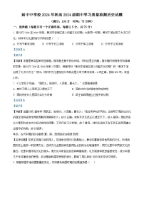 四川省阆中中学2024-2025学年高一上学期期中检测历史试题（Word版附解析）