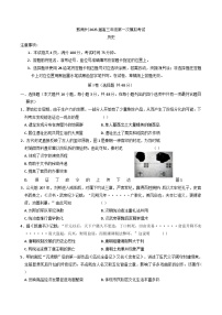 2025届贵州省黔南布依族苗族自治州高三上学期第一次模拟考试历史试卷(含解析)