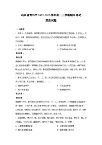 2022~2023学年山东省青岛市高一(上)期末考试历史试卷(解析版)