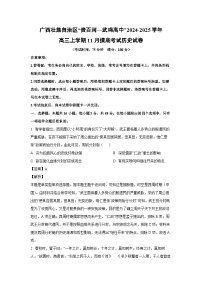 2024~2025学年广西壮族自治区“贵百河~武鸣高中”高三(上)11月摸底考试历史试卷(解析版)